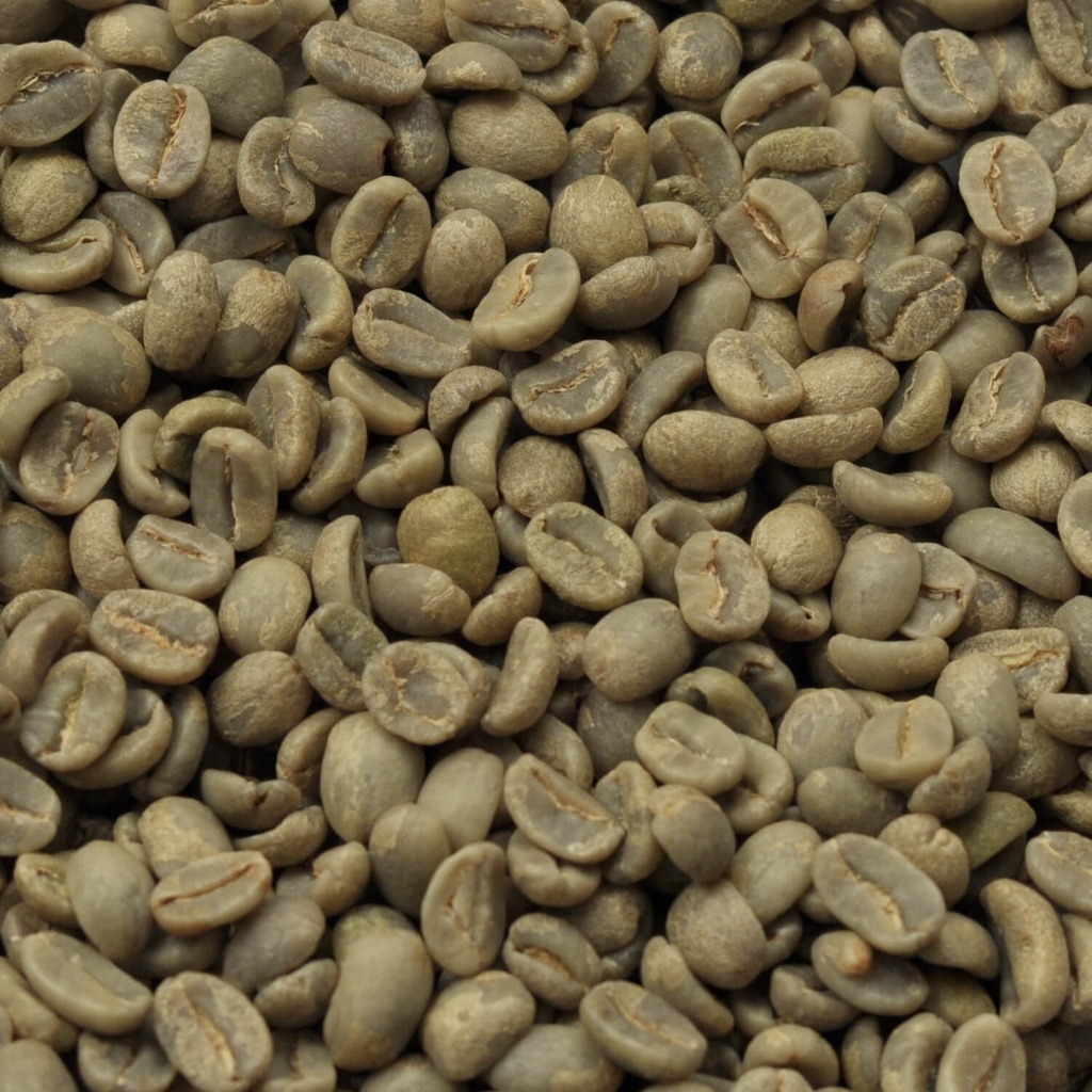 Guatemala Antigua Pastoral 1 kg ongebrand