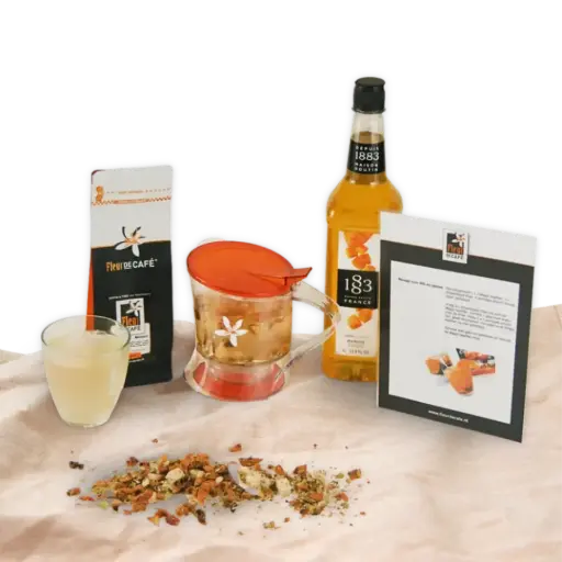 [TPH015] IJsthee pakket S kokos - meloen