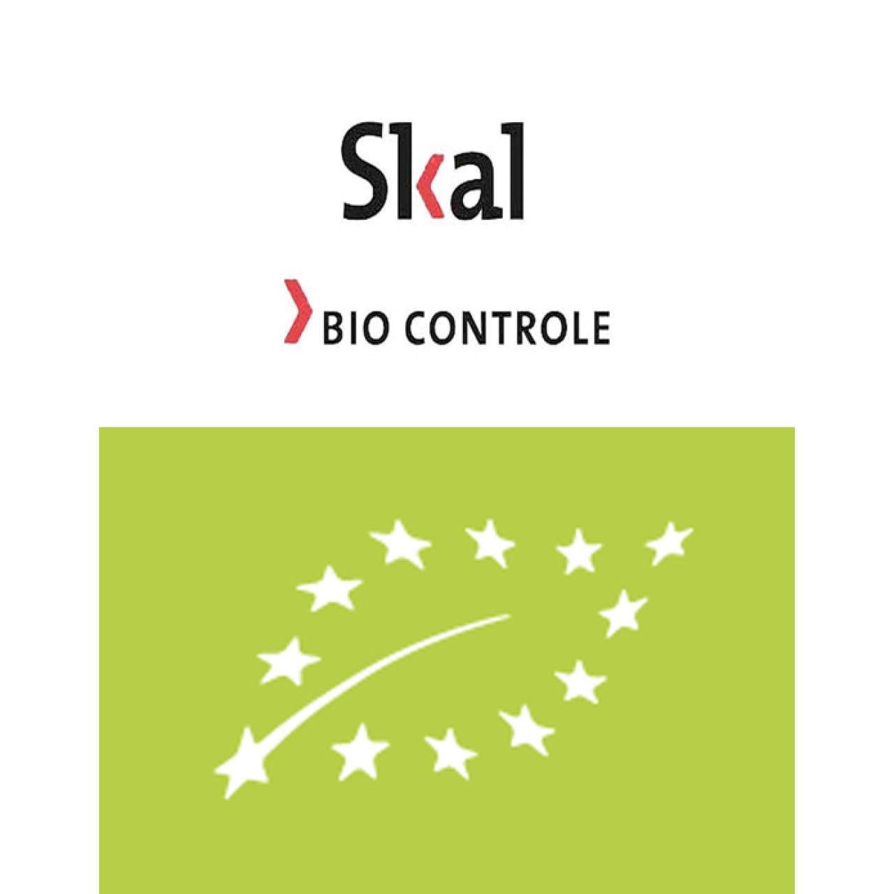 Stichting Skal logo