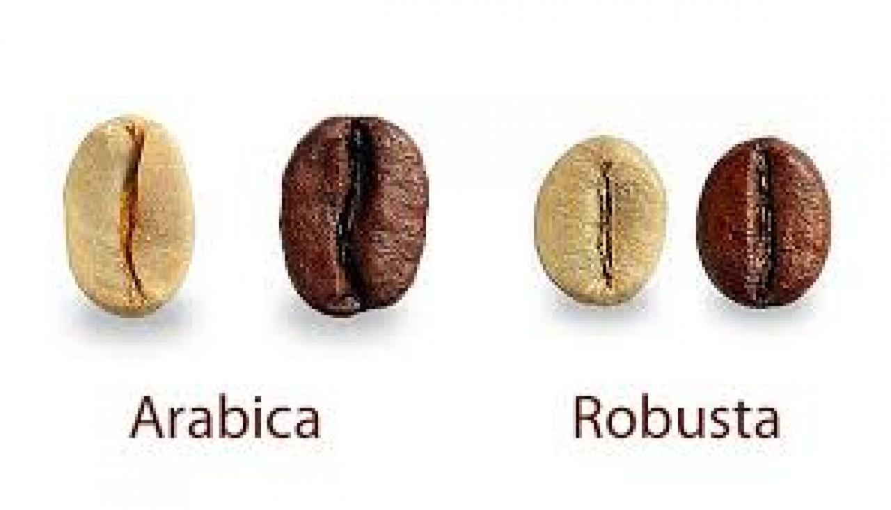 Arabica en robusta koffiebonen