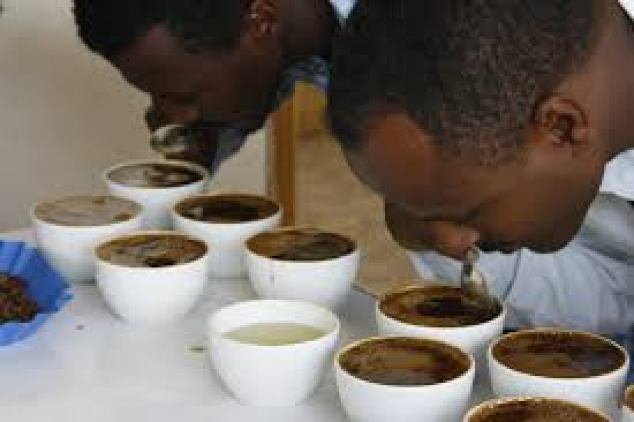 Cupping coffee
