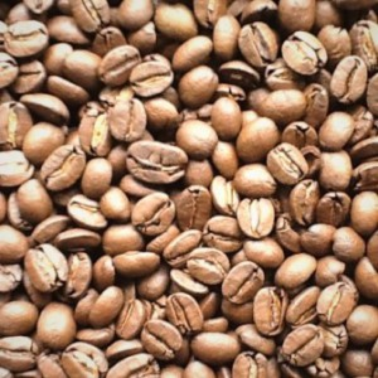 light roast licht gebrande koffie