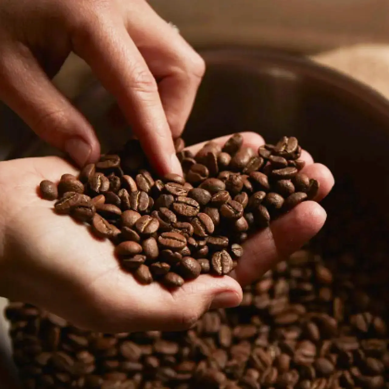 deventer gebrande koffiebonen