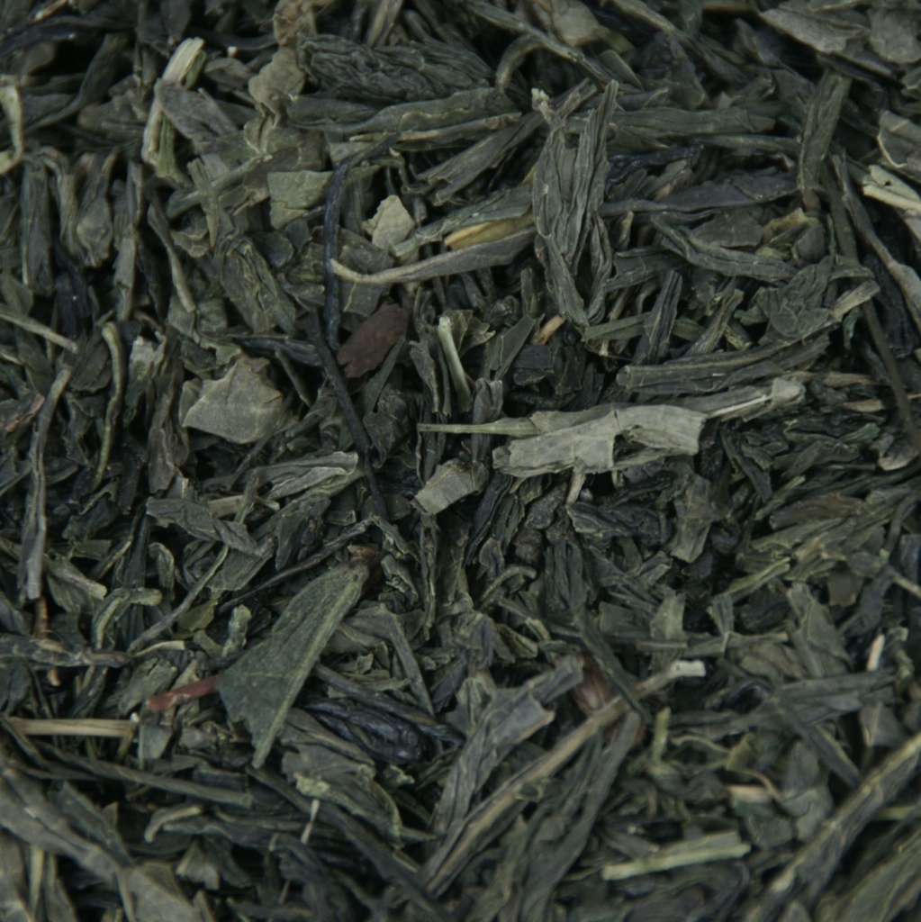 Japan Sencha Kakegawa