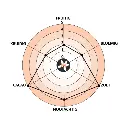 Kerstkoffie FDC aromawiel.webp