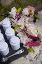 DSC00180.webp