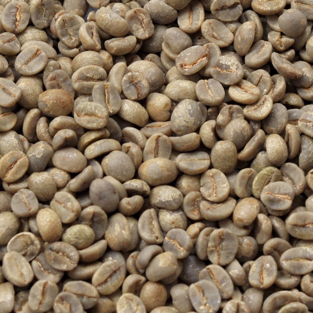 Brasil Cerrado 1 kg ongebrand