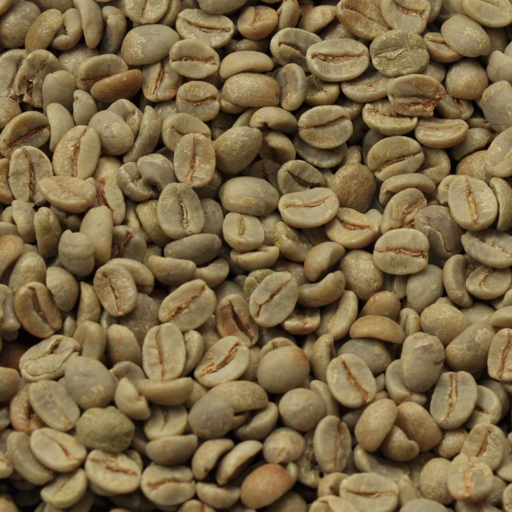 Brasil Santos 1 kg ongebrand