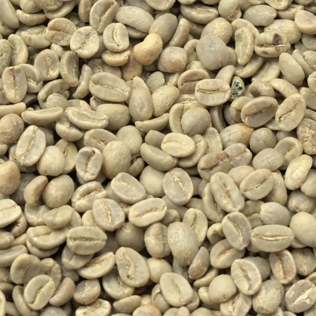 Colombia Bolivar 1 kg ongebrand