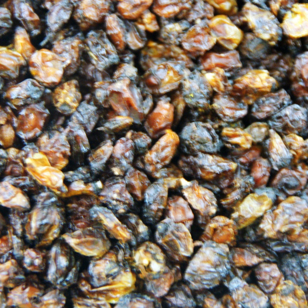 Duindoornbes Sanddornbeeren heel 100 gram