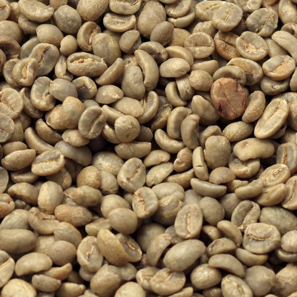 Honduras Bio 1 kg ongebrand