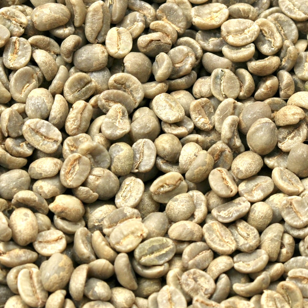 Kenya AA plus 1 kg ongebrand