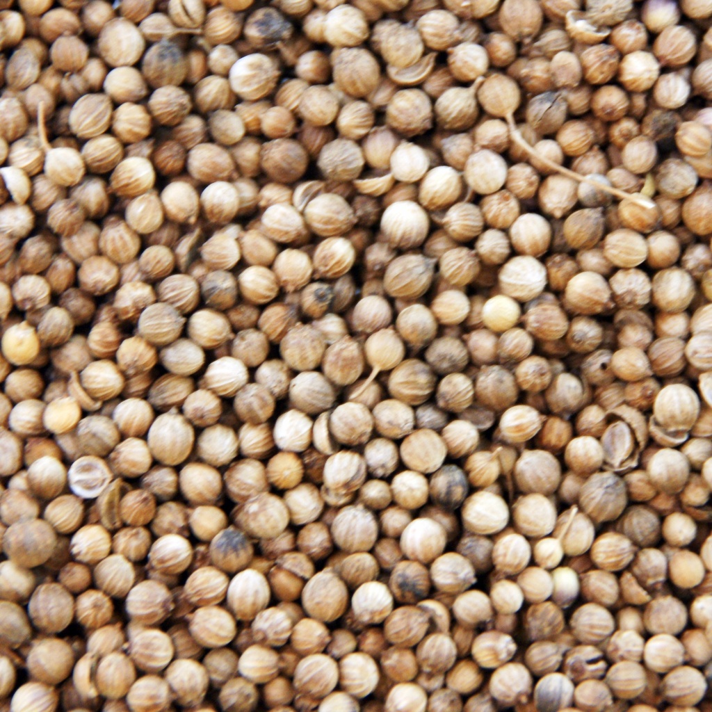 Korianderzaad heel 100 gram