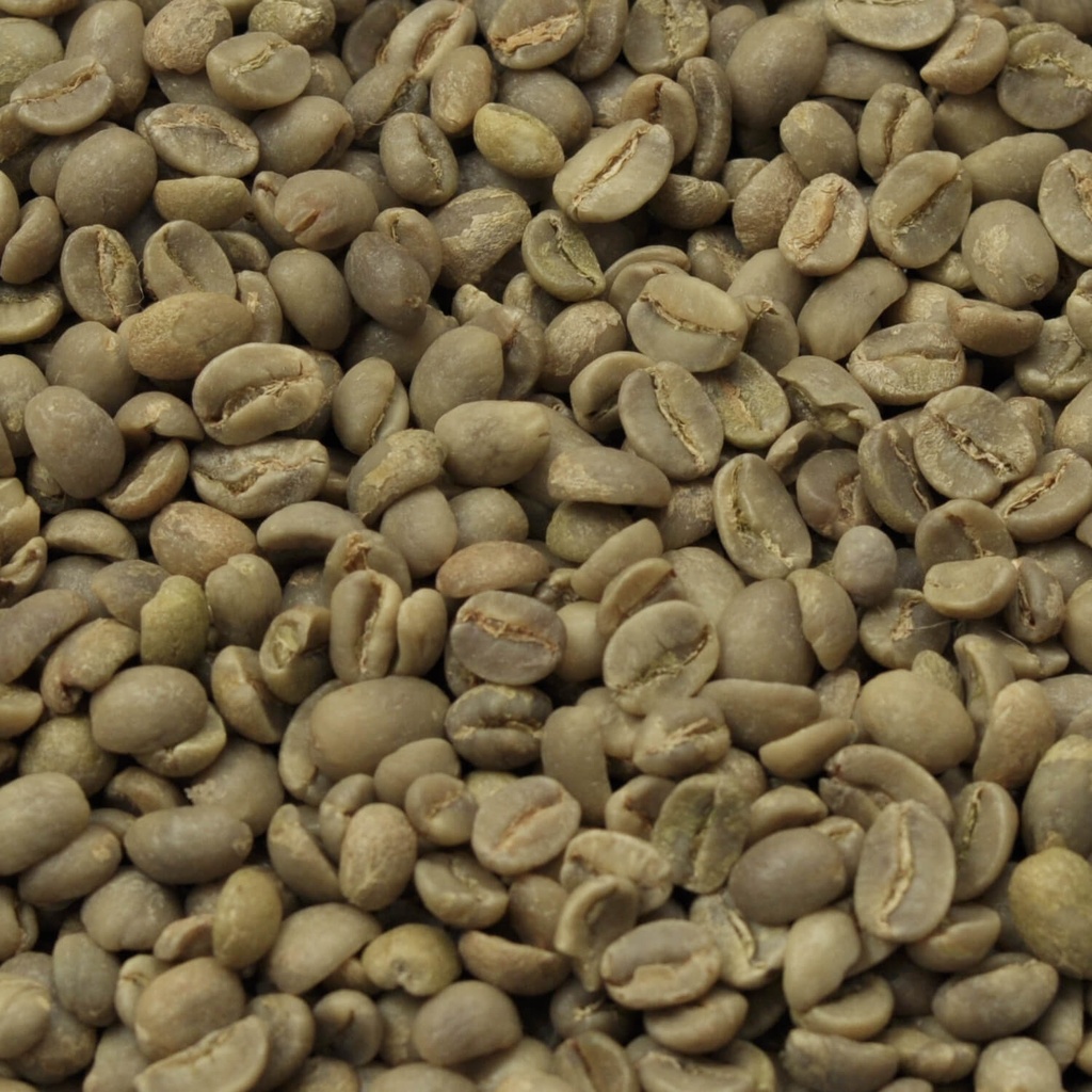 Mexico Bio 1 kg ongebrand