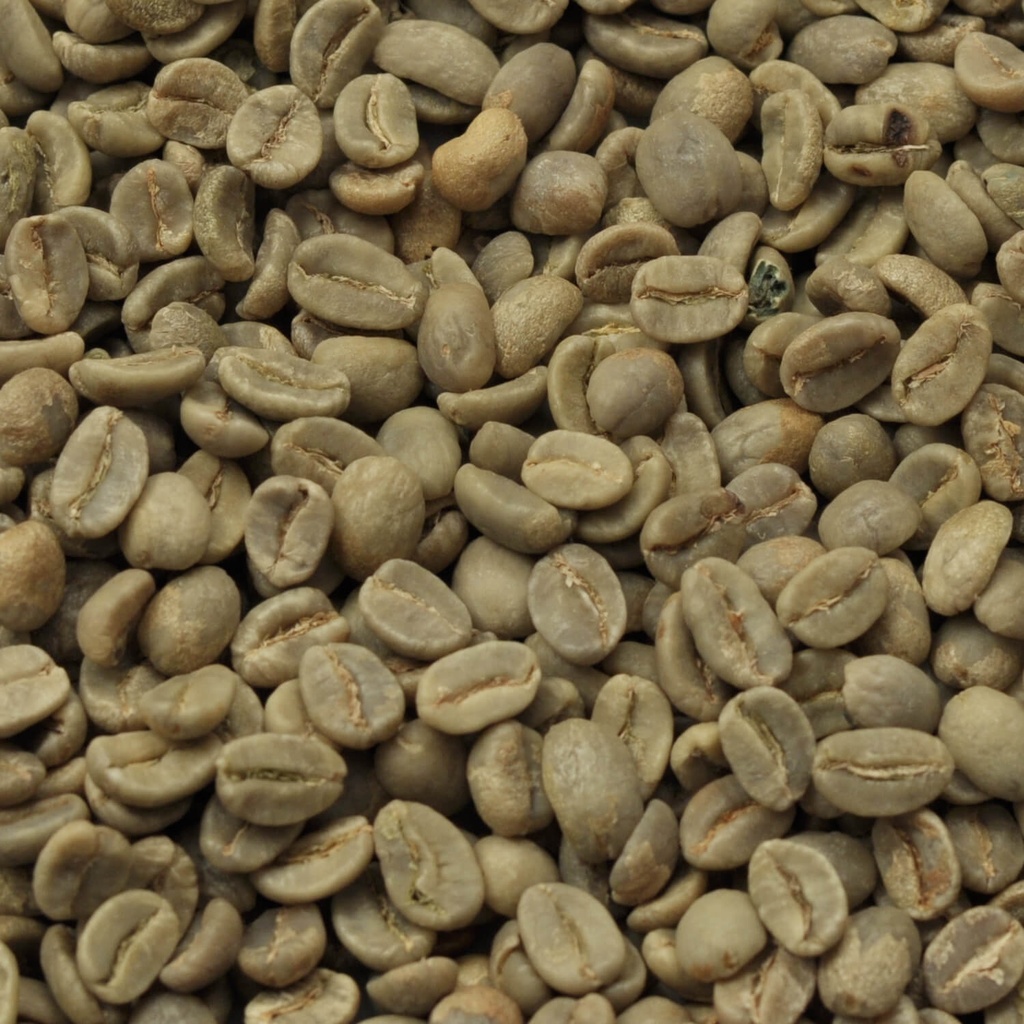 Proefpakket ongebrande koffiebonen