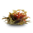 Theebloemen Jasmijnjuweel 60 gram