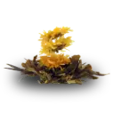 Theebloemen Zonnegloed 100 gram