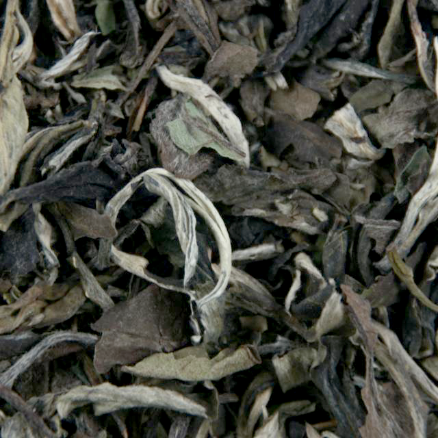 Witte Thee Pai Mu Tan 250 gram
