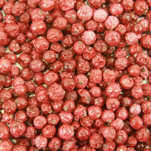 [TKI012] Aalbes rood 100 gram