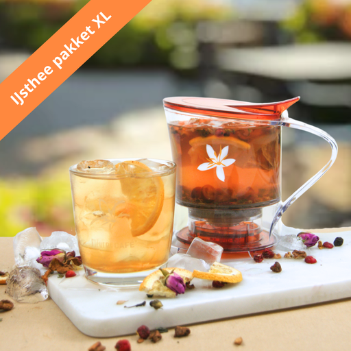 [TPH012] IJsthee pakket horeca XL