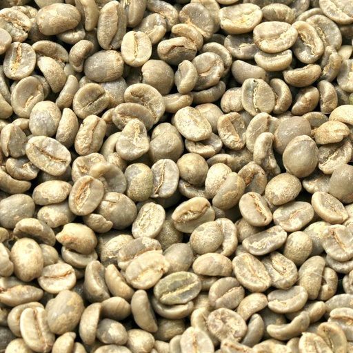[OK042] Kenya AA plus 1 kg ongebrand