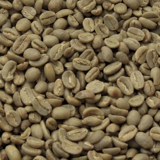 [OK061] Ethiopië Sidamo gr. 2 washed 1 kg ongebrand