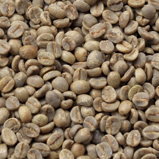 [OK077] Brasil Cerrado 1 kg ongebrand