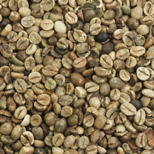 [OK092] Vietnam gr.1 robusta washed 1 kg ongebrand