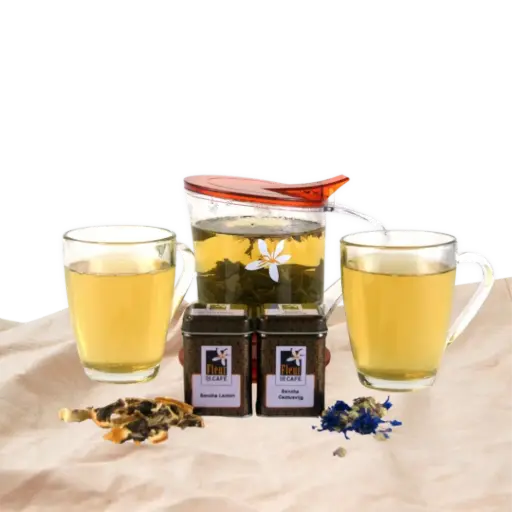 [PAK004] Tea for Two 1 Sencha Cactus Vijg & Sencha Lemon